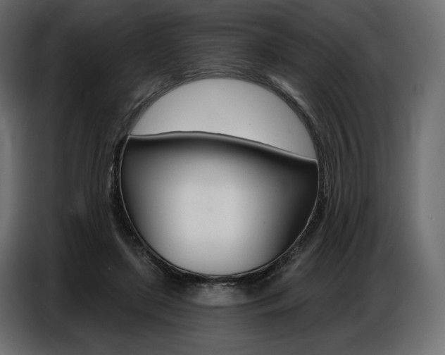 X0000086800451200704130904