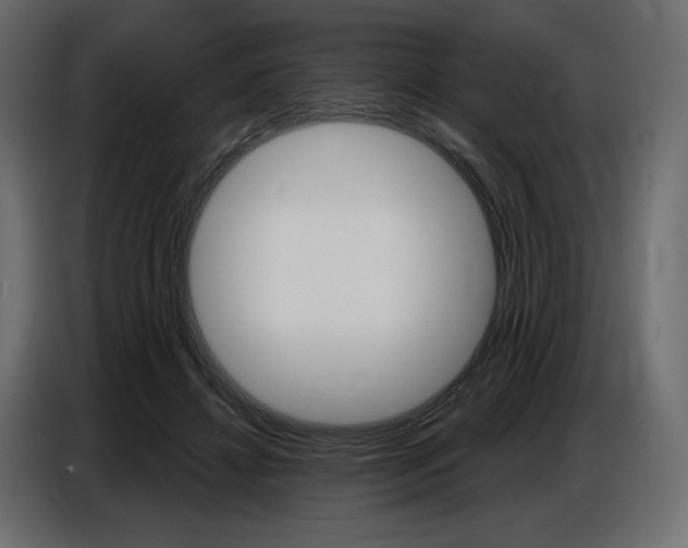 X0000086800452200704130904