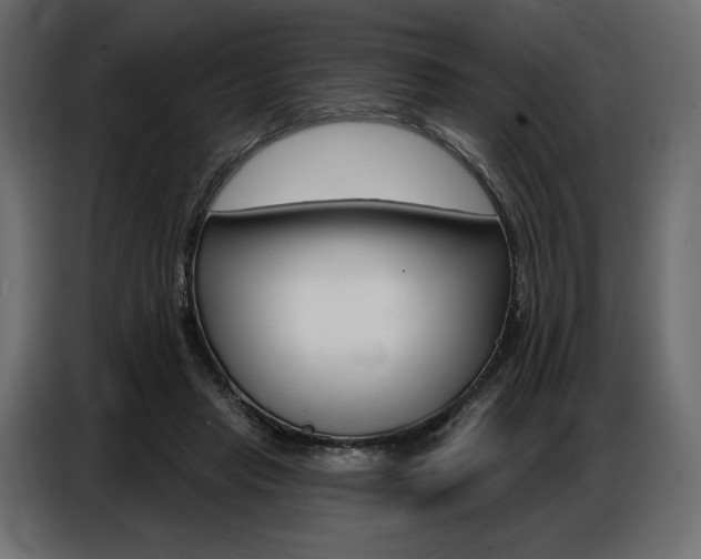 X0000086800453200704130904
