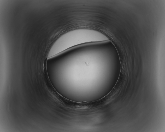 X0000086800454200704130904
