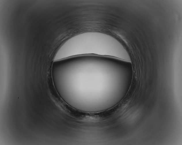 X0000086800455200704130904