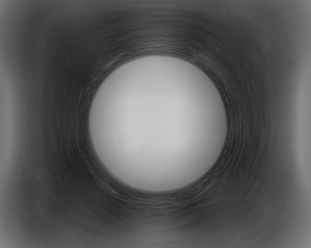 X0000086800456200704130904