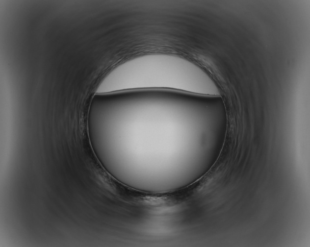 X0000086800457200704130904
