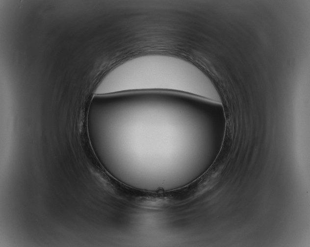 X0000086800458200704130904