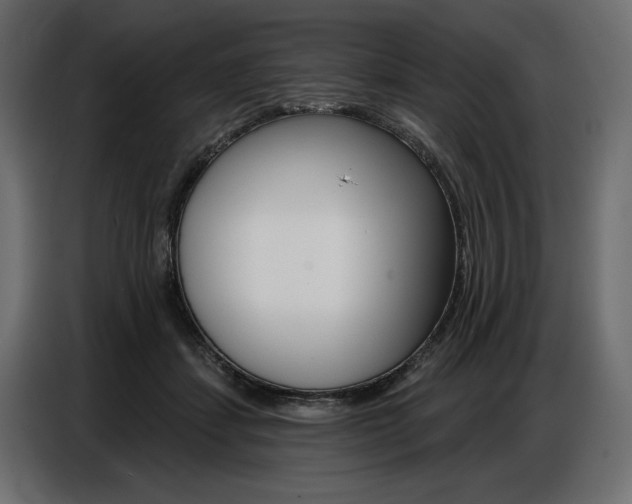 X0000086800459200704130904