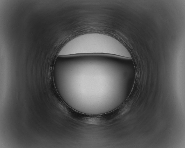 X0000086800462200704130904