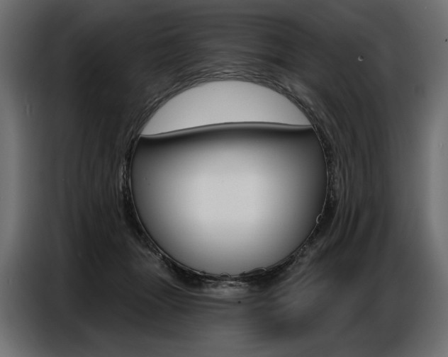 X0000086800463200704130904