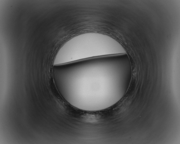 X0000086800464200704130904