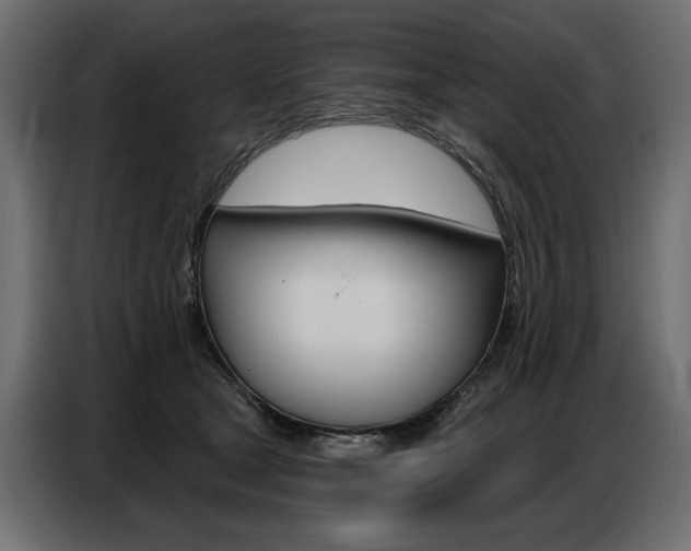 X0000086800465200704130904