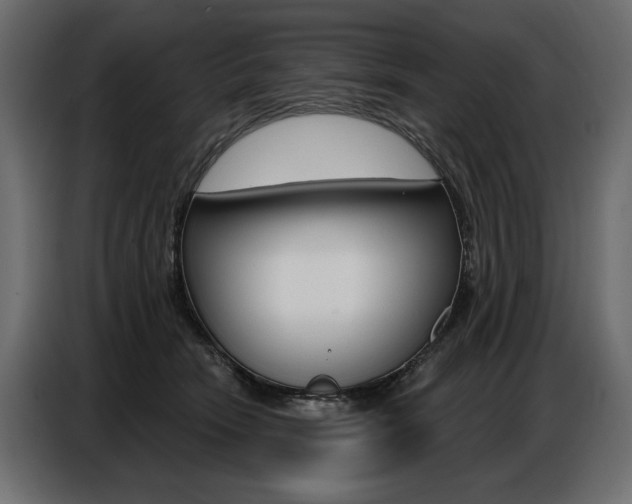 X0000086800466200704130904