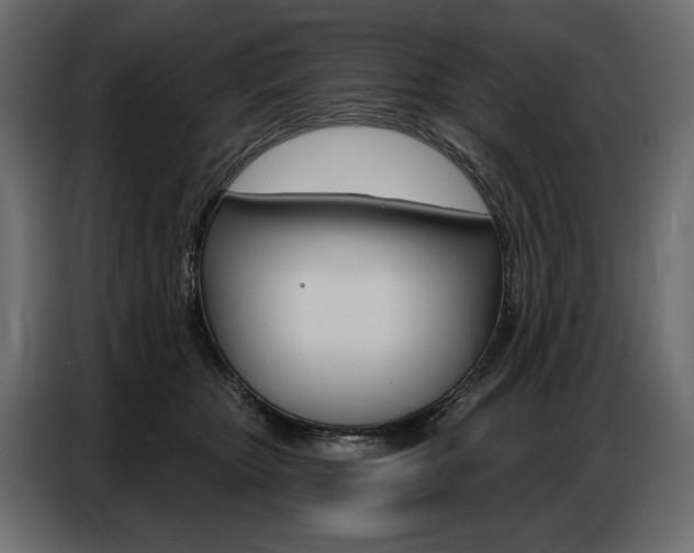 X0000086800467200704130904