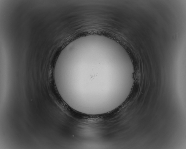 X0000086800468200704130904