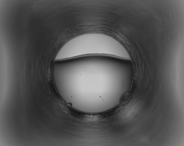 X0000086800469200704130904