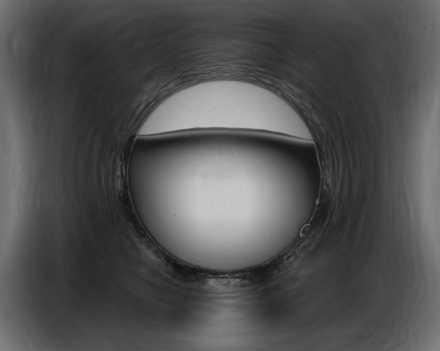 X0000086800470200704130904