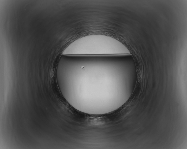 X0000086800472200704130904