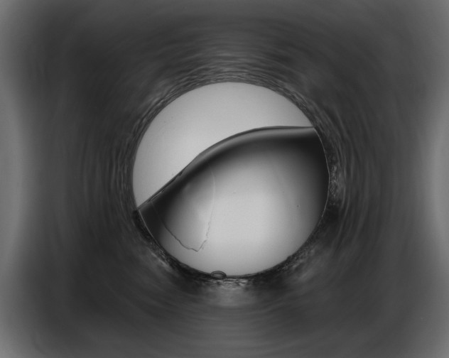 X0000086800474200704130904