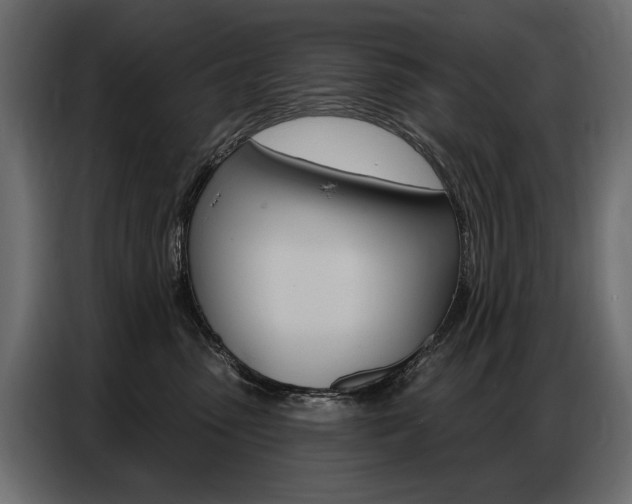 X0000086800475200704130904