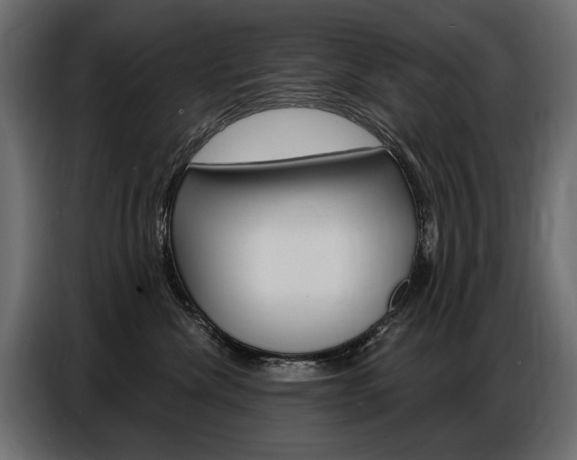 X0000086800476200704130904