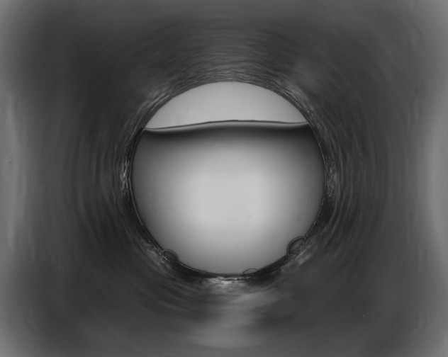 X0000086800477200704130904