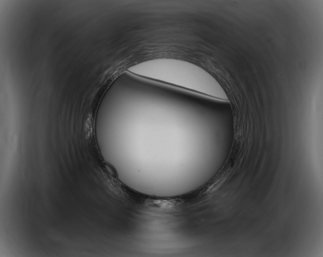 X0000086800478200704130904