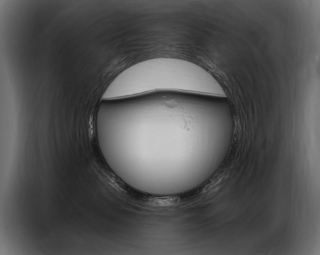 X0000086800479200704130904