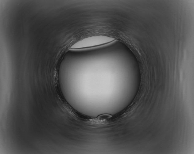 X0000086800480200704130904