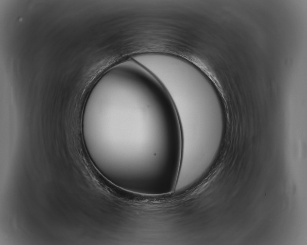 X0000086800481200704130904
