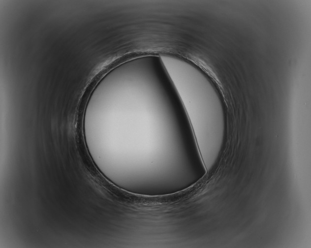 X0000086800483200704130904