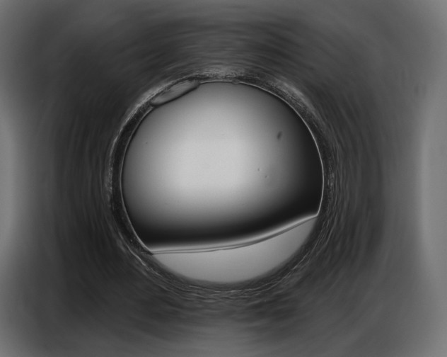 X0000086800484200704130904