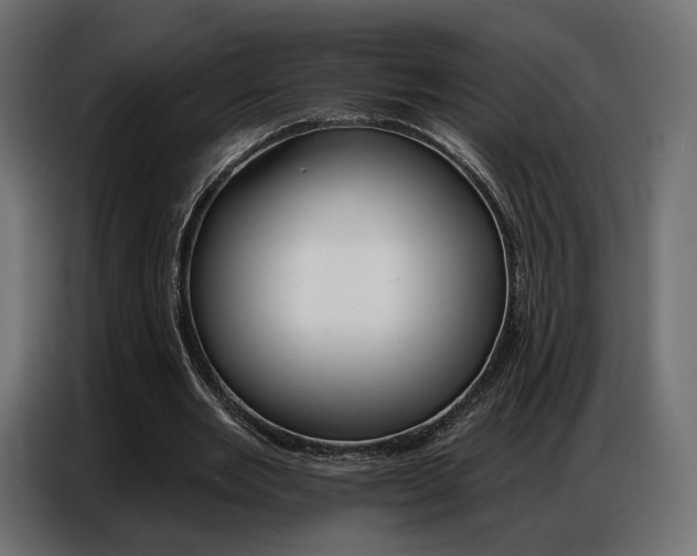 X0000086800485200704130904