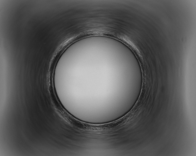 X0000086800486200704130904
