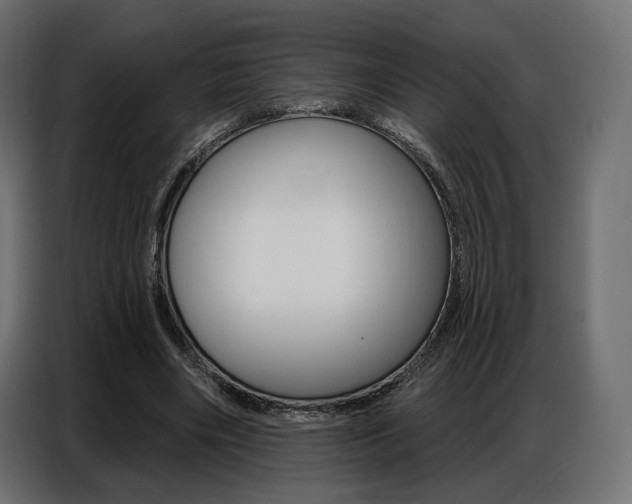 X0000086800490200704130904