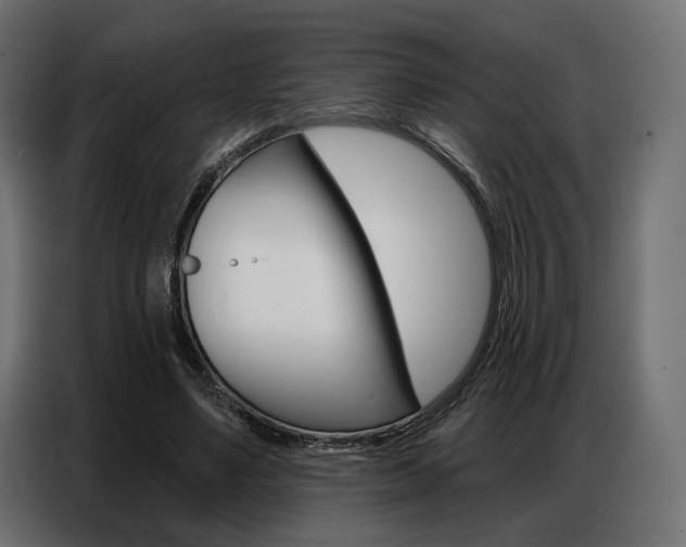 X0000086800491200704130904