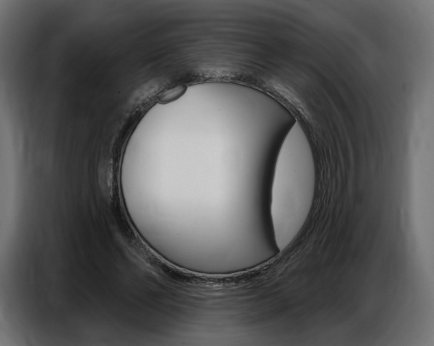 X0000086800494200704130903