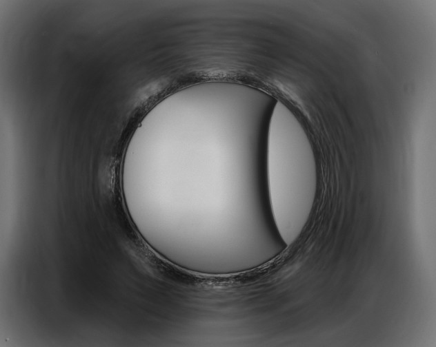X0000086800495200704130903