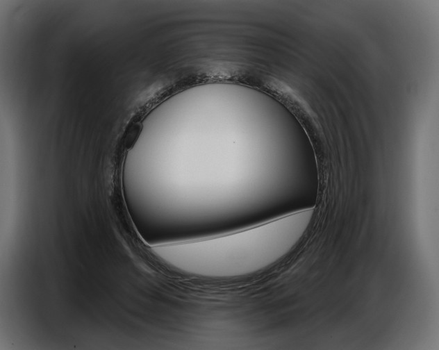 X0000086800496200704130903