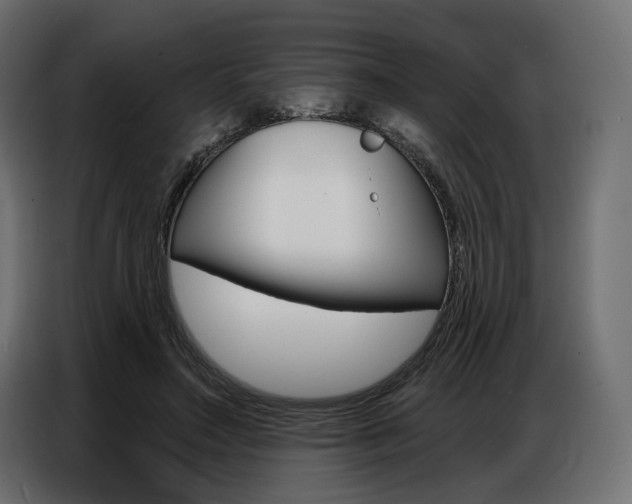 X0000086800499200704130903