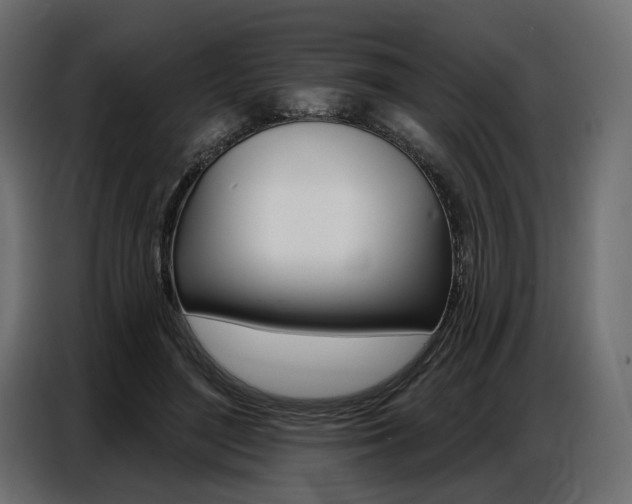 X0000086800500200704130903