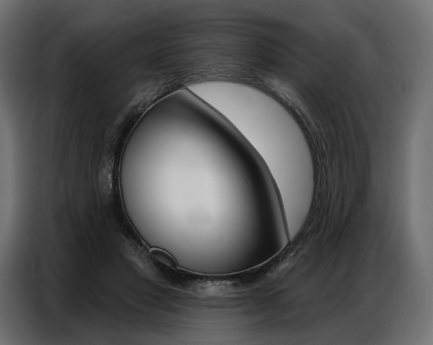 X0000086800501200704130903