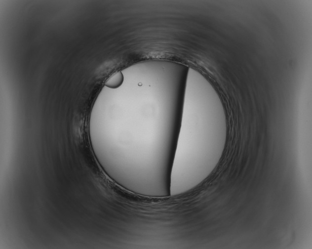 X0000086800503200704130903