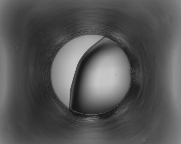 X0000086800505200704130903