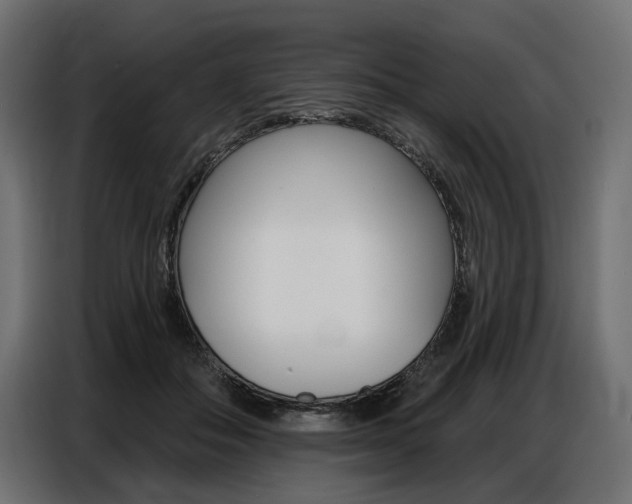 X0000086800506200704130903