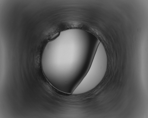 X0000086800509200704130903