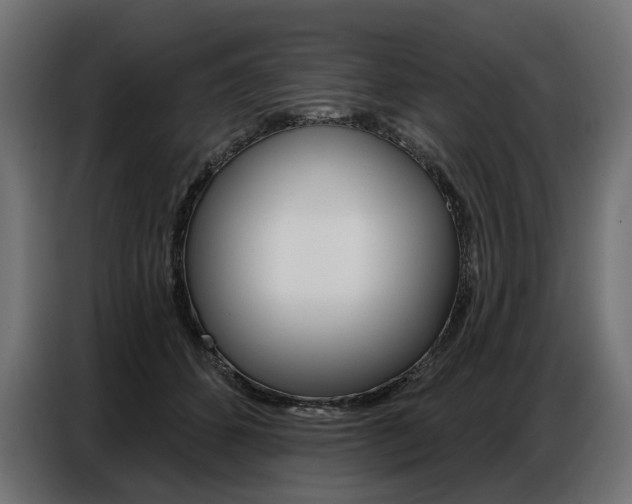 X0000086800512200704130903