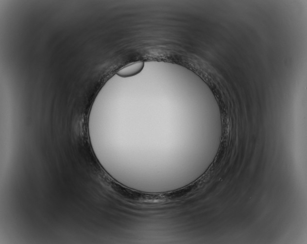 X0000086800514200704130903