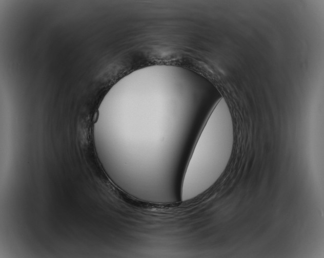 X0000086800515200704130903