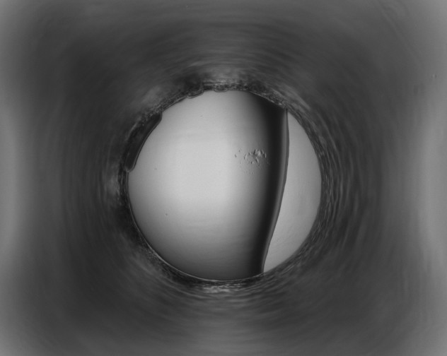 X0000086800516200704130903