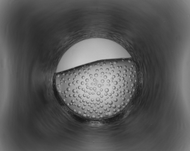 X0000086800519200704130903