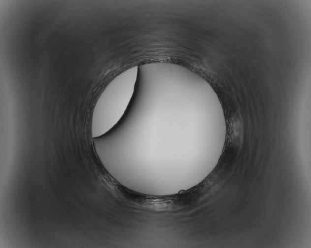 X0000086800522200704130903