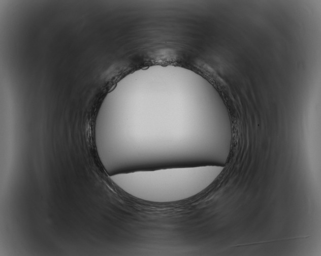 X0000086800523200704130903
